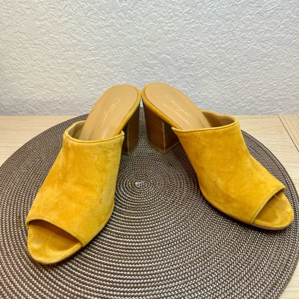 Anthropology Miss Albright suede mules sz8